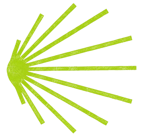 Shell Camino Design Bright Green Logo