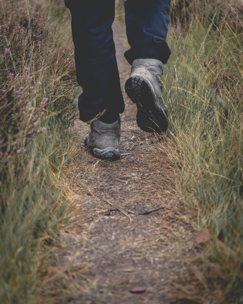 Walking the Way, Autumn